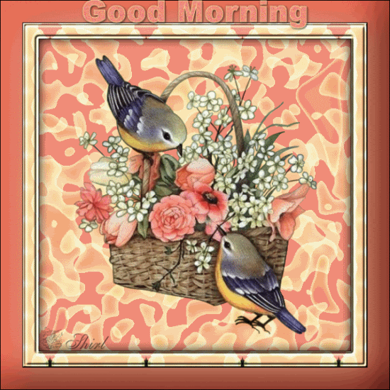 Good Morning