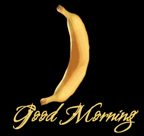 Good Morning