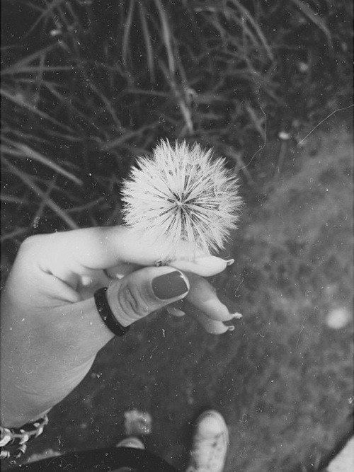 Make a wish Make a wish