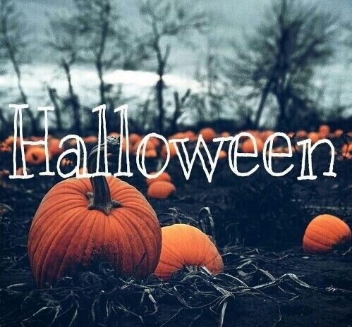 Halloween Halloween