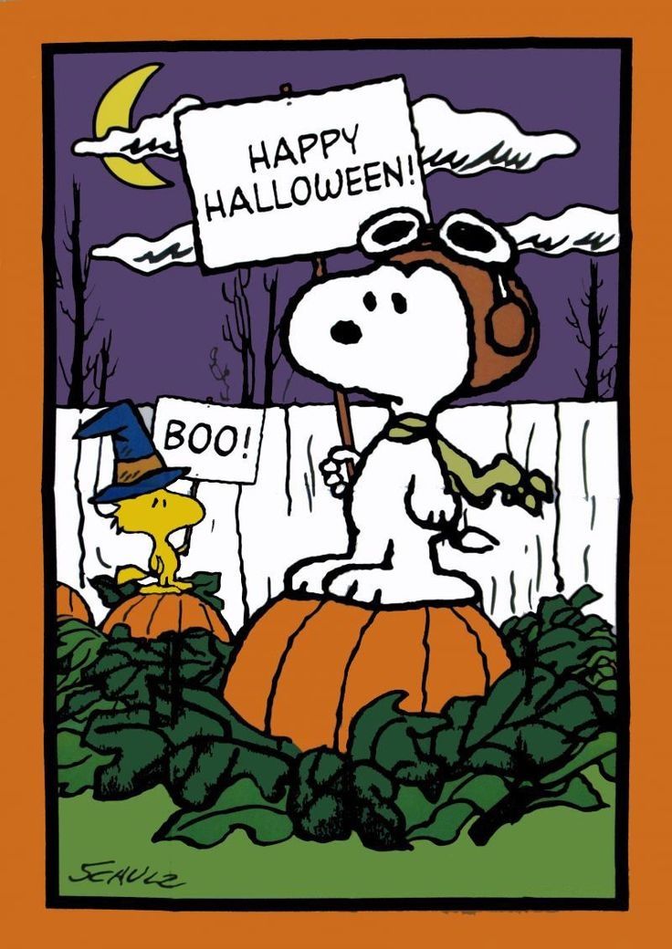 Happy Halloween
