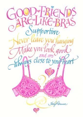 Good Friends Are Like Bras....