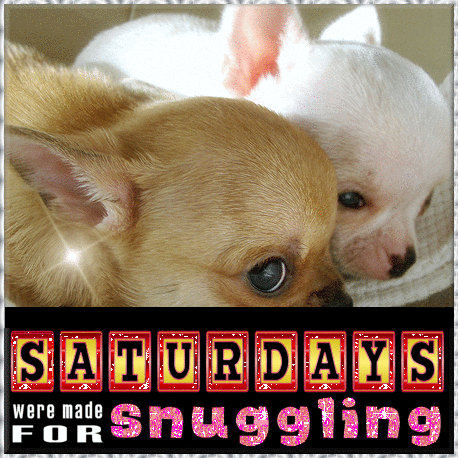 Saturday's were made for snuggling