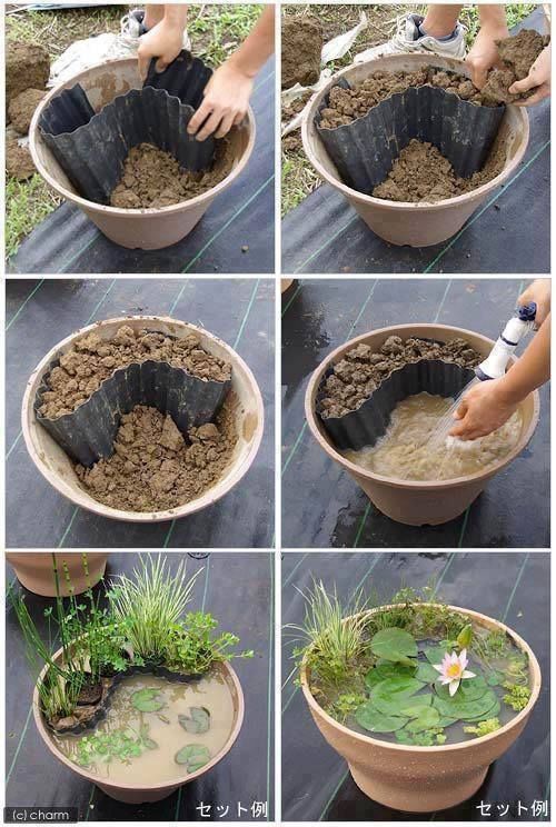 DIY Pond Pot DIY Pond Pot