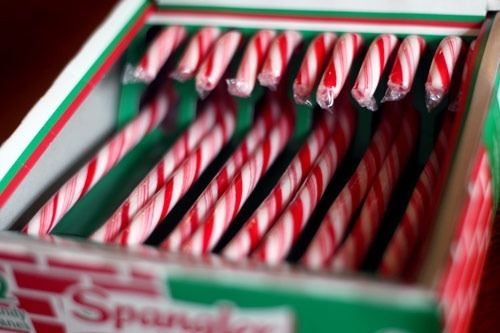 Candy Cane Candy Cane