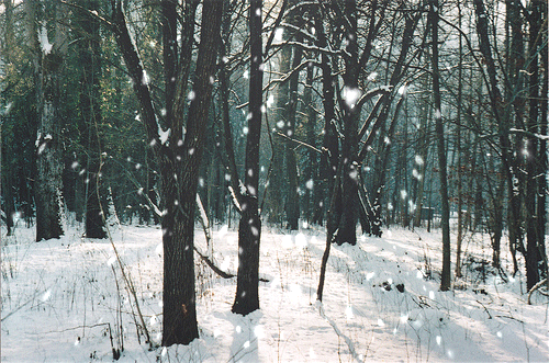Snow fall Snow fall