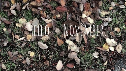 Hello November