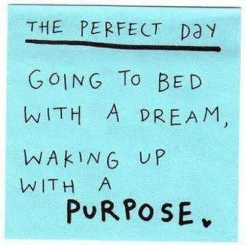 The perfect day