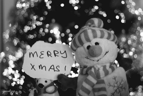 Merry Xmas