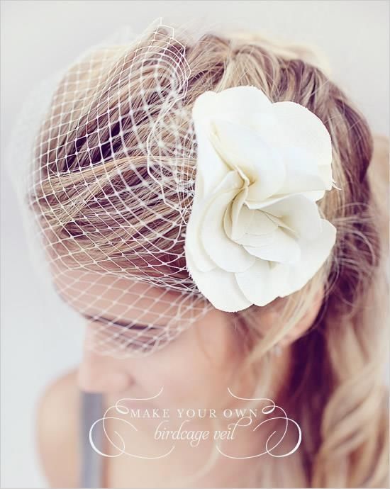 Wedding Birdcage Veil