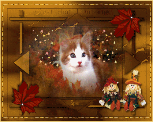Autumn Kitty