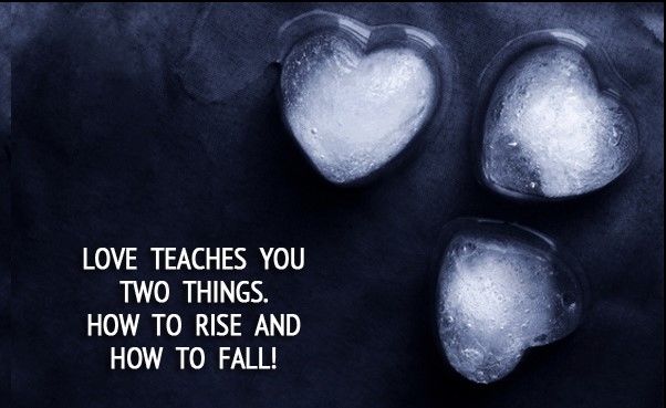 Love teaches you two things