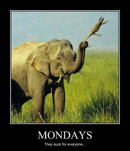 Mondays, they suck for everyone Mondays, they suck for everyone