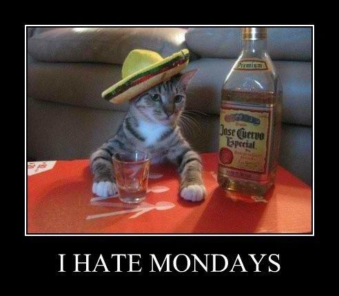 I hate Mondays I hate Mondays