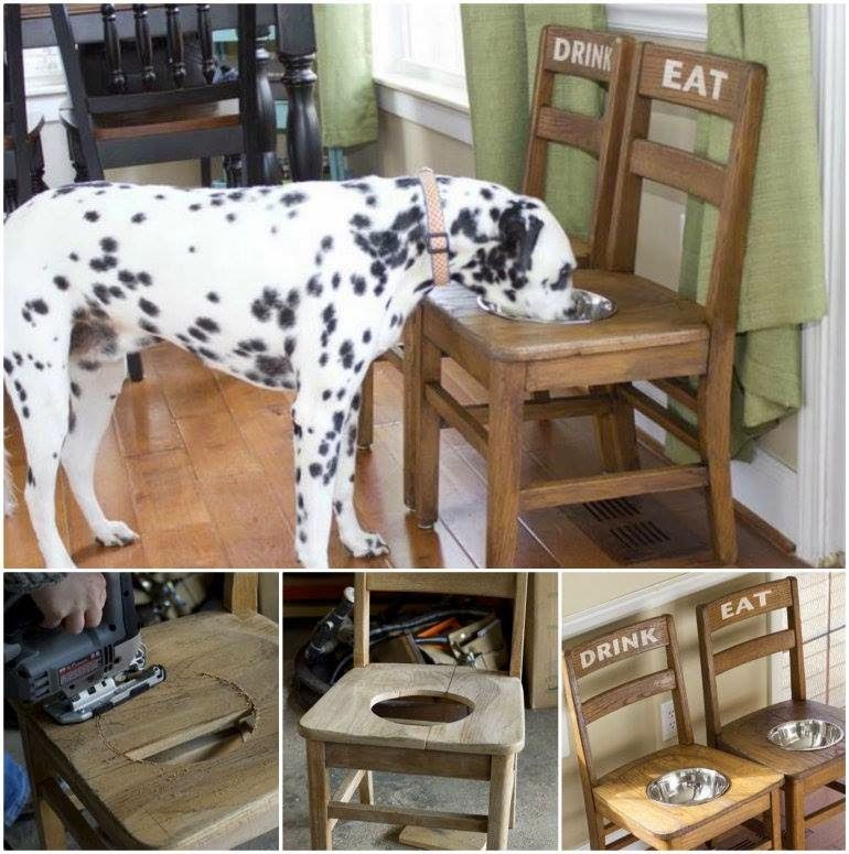 Doggy Bowl Chair Doggy Bowl Chair