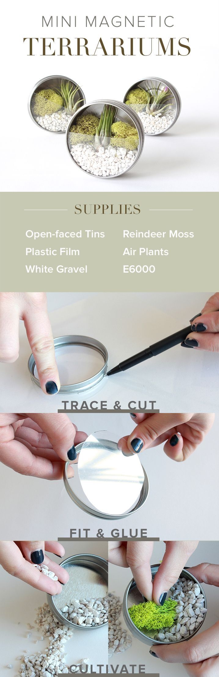 DIY Mini Magnent Terrarioum DIY Mini Magnent Terrarioum