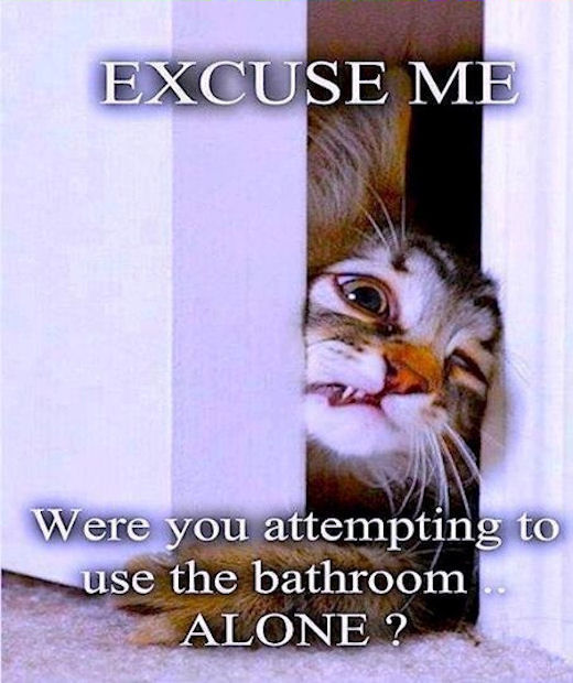 Excuse Me