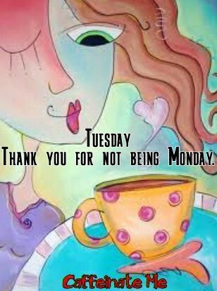 Tuesday Tuesday