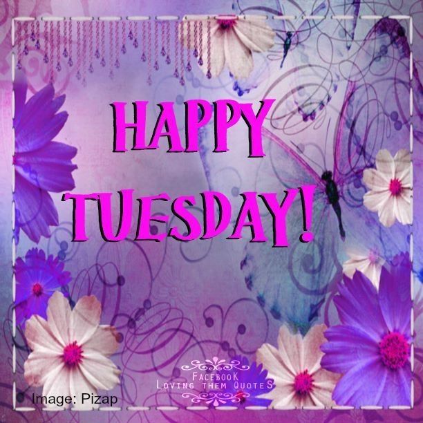 Happy Tuesday Happy Tuesday