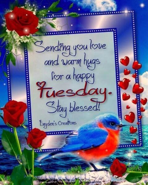 Happy Tuesday Happy Tuesday