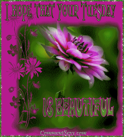 I hope that your Tuesday is Beautiful