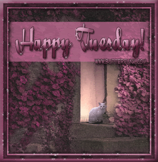 Happy Tuesday