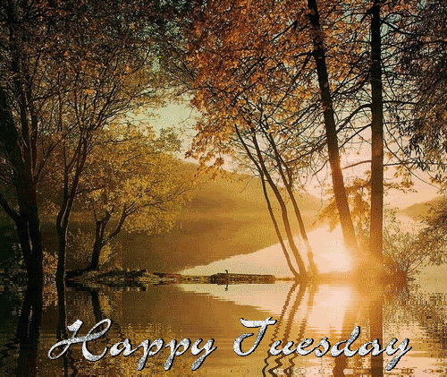 Happy Tuesday Happy Tuesday