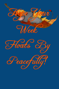 Hope your week floats by peacefully
