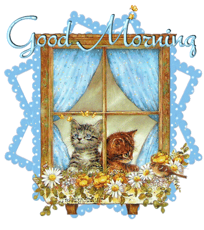 Good Morning Good Morning