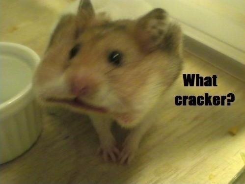 Cracker what