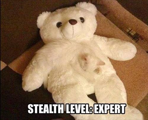 Stealth masters
