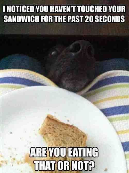 Just asking