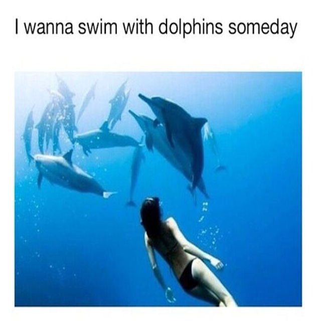 I Wanna Swim