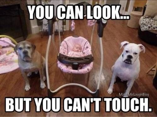 You can Look You can Look