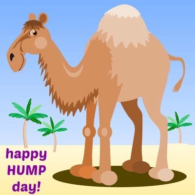 Happy Hump Day