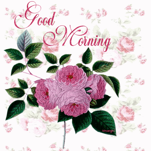 Good Morning Good Morning
