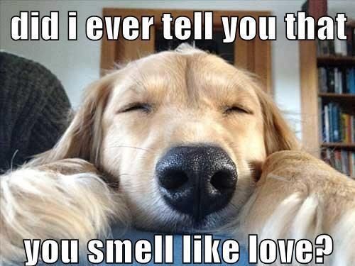 Did I ever tell you Did I ever tell you