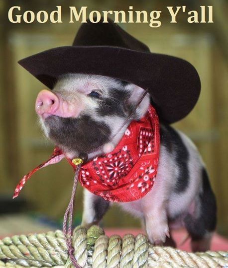 Good Morning Y'all