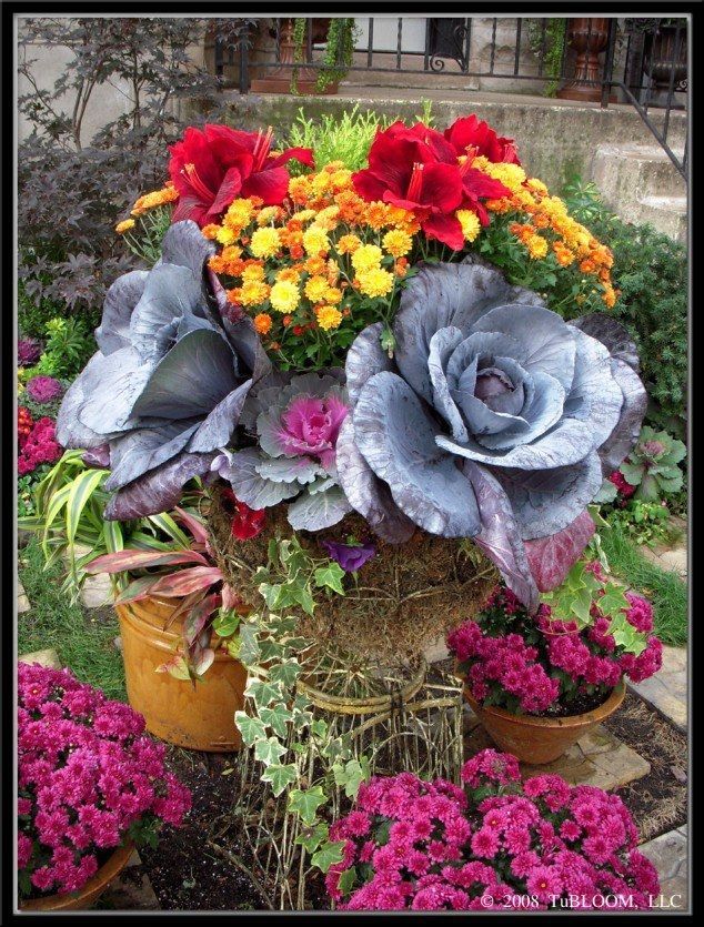 Glorious Fall Planters Glorious Fall Planters