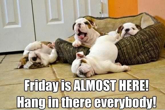 Friday is almost here