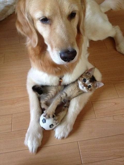 best friends