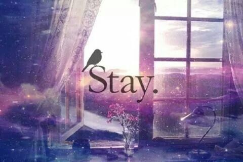 Stay