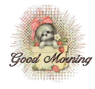Good Morning Good Morning