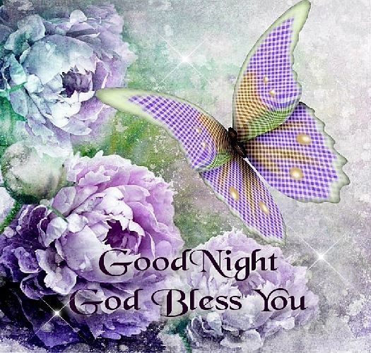 Good Night Good Night