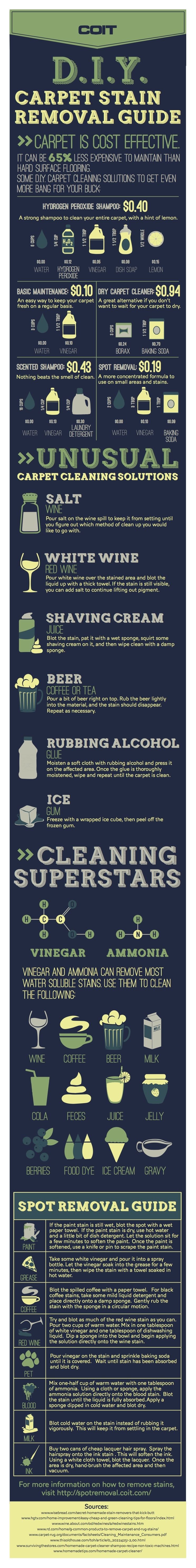 DIY Carpet Stain Removal