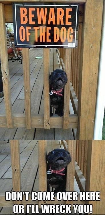 Beware of  Beware of