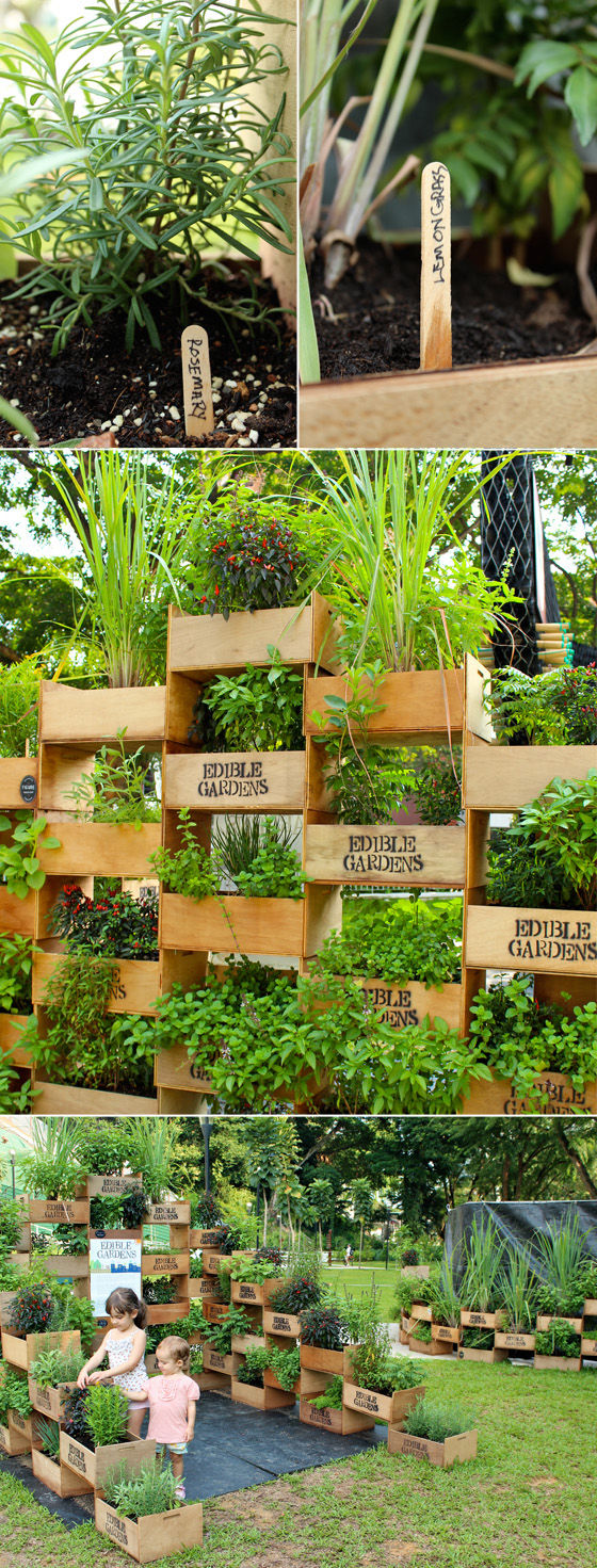 DIY Box Garden Idea