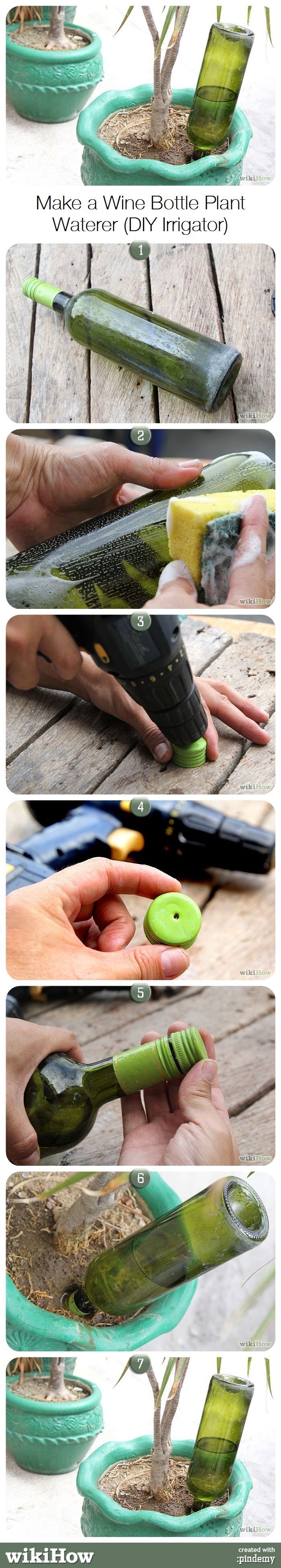DIY Wine Bottle Plant Irrigator