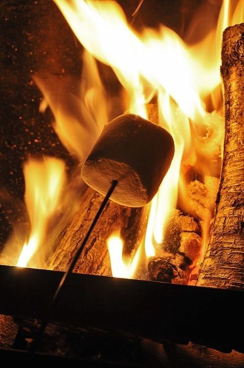 Roasting Marshmallows