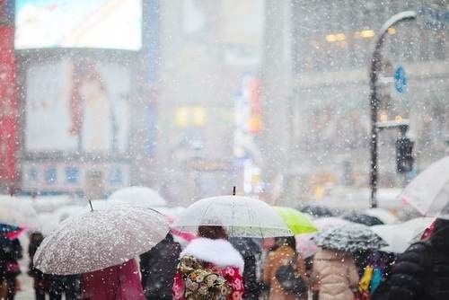 Snowing in the city